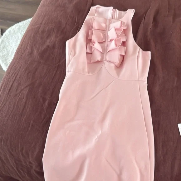 NWT CAROLINA HERRERA SLEEVELESS RUFFLED DETAIL MINI IN LOTUS PINK